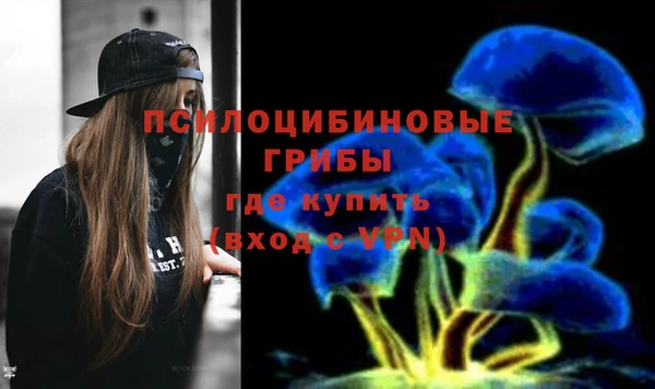 мяу мяу мука Алзамай