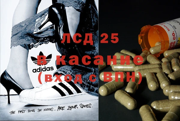 мяу мяу мука Алзамай